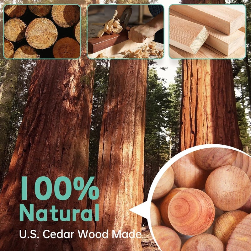 SHARKWOODS Cedar Blocks for Clothes Storage 100 Pack, 100% Natural Aromatic Cedar Rings and Balls for Closets & Drawers Freshener (60 Rings & 40 Balls) - Image 4